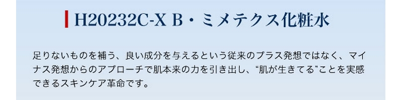 q̂߂̋ɂ̖YyoCI~eNXϐzTCg